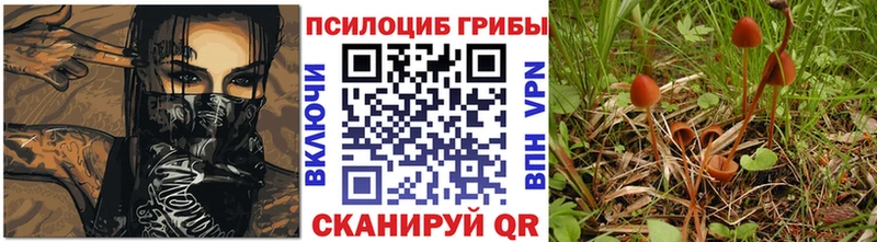 Галлюциногенные грибы мухоморы  Купить  Орехово-Зуево 