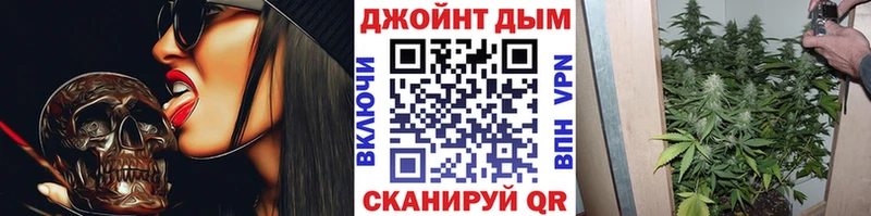 Купить закладки  Орехово-Зуево  Конопля White Widow 